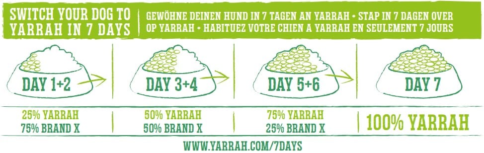 Switch Your Dog to Yarrah Organic Vegan Dry Dog Food in 7 Days